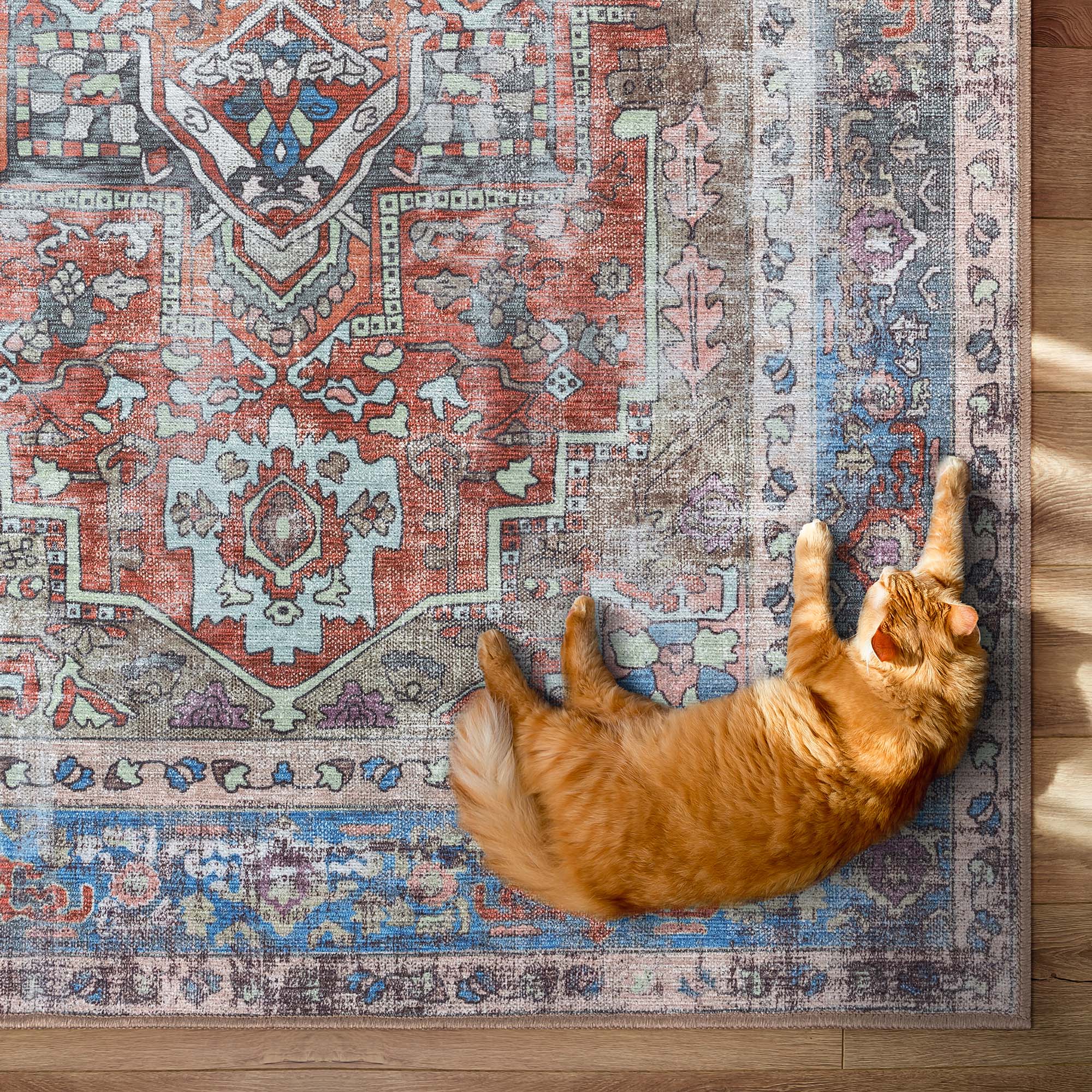 Earth Tones Oushak Area Washable Rug - Gionara